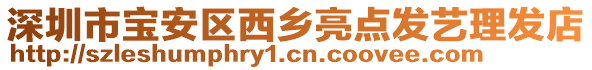 深圳市寶安區(qū)西鄉(xiāng)亮點(diǎn)發(fā)藝?yán)戆l(fā)店