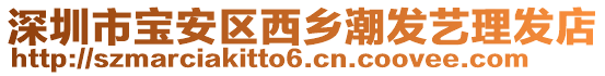 深圳市寶安區(qū)西鄉(xiāng)潮發(fā)藝理發(fā)店