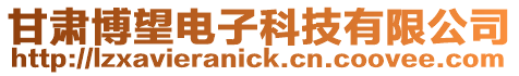 甘肅博望電子科技有限公司