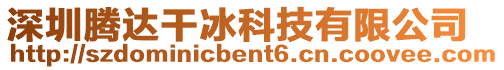 深圳騰達干冰科技有限公司