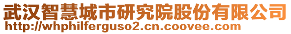 武漢智慧城市研究院股份有限公司