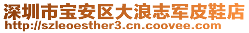 深圳市寶安區(qū)大浪志軍皮鞋店