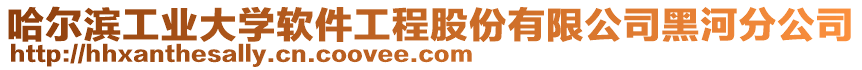 哈爾濱工業(yè)大學(xué)軟件工程股份有限公司黑河分公司