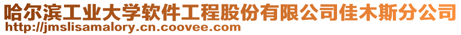 哈爾濱工業(yè)大學(xué)軟件工程股份有限公司佳木斯分公司