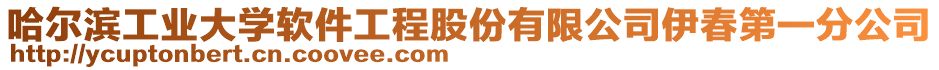 哈爾濱工業(yè)大學(xué)軟件工程股份有限公司伊春第一分公司