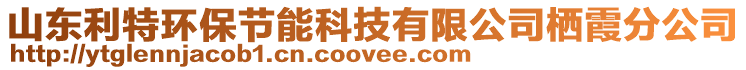 山東利特環(huán)保節(jié)能科技有限公司棲霞分公司