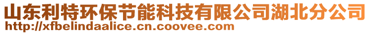 山東利特環(huán)保節(jié)能科技有限公司湖北分公司