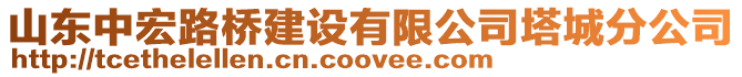 山東中宏路橋建設有限公司塔城分公司