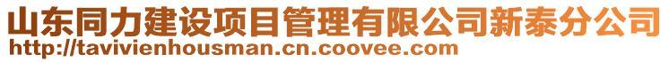 山東同力建設項目管理有限公司新泰分公司