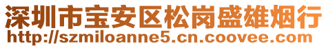 深圳市寶安區(qū)松崗盛雄煙行