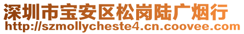 深圳市寶安區松崗陸廣煙行