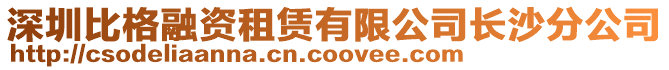 深圳比格融資租賃有限公司長沙分公司