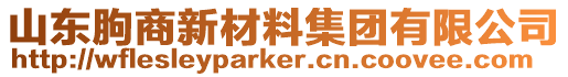 山東朐商新材料集團(tuán)有限公司