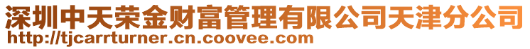 深圳中天榮金財富管理有限公司天津分公司