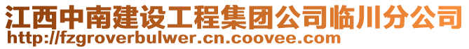 江西中南建設(shè)工程集團(tuán)公司臨川分公司