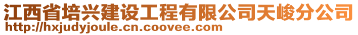 江西省培兴建设工程有限公司天峻分公司