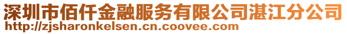 深圳市佰仟金融服務有限公司湛江分公司