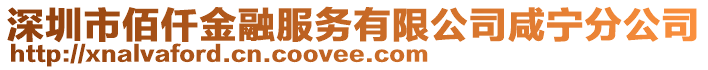 深圳市佰仟金融服務(wù)有限公司咸寧分公司