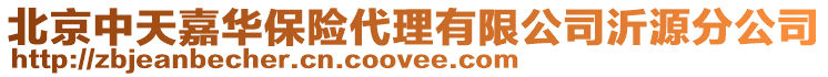 北京中天嘉華保險代理有限公司沂源分公司