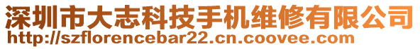 深圳市大志科技手機(jī)維修有限公司