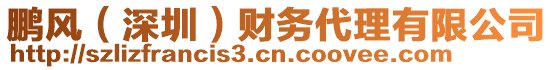 鵬風(fēng)（深圳）財(cái)務(wù)代理有限公司