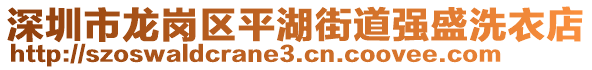 深圳市龍崗區(qū)平湖街道強(qiáng)盛洗衣店