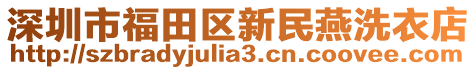 深圳市福田區(qū)新民燕洗衣店