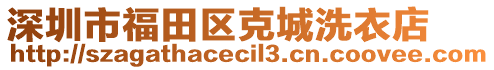 深圳市福田區(qū)克城洗衣店