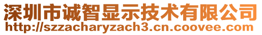 深圳市誠智顯示技術(shù)有限公司