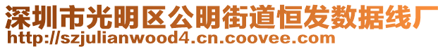 深圳市光明區(qū)公明街道恒發(fā)數(shù)據(jù)線廠