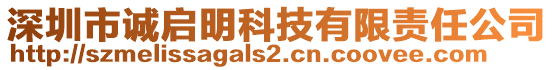 深圳市誠啟明科技有限責任公司