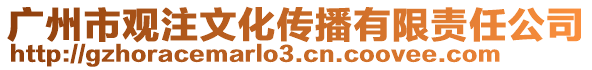 廣州市觀注文化傳播有限責(zé)任公司