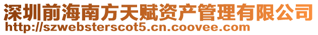 深圳前海南方天賦資產管理有限公司