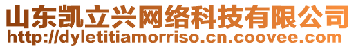 山東凱立興網絡科技有限公司