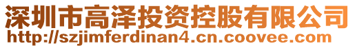 深圳市高澤投資控股有限公司
