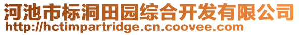 河池市標洞田園綜合開發(fā)有限公司