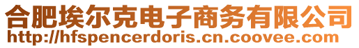 合肥埃爾克電子商務有限公司