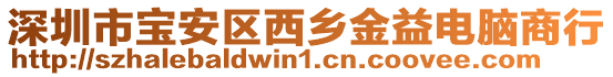 深圳市寶安區西鄉金益電腦商行