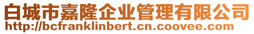 白城市嘉隆企業(yè)管理有限公司