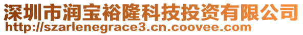 深圳市潤寶裕隆科技投資有限公司