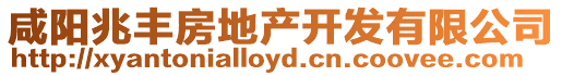 咸陽兆豐房地產(chǎn)開發(fā)有限公司