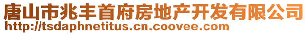 唐山市兆豐首府房地產開發有限公司