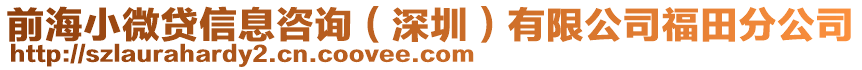 前海小微貸信息咨詢(深圳)有限公司福田分公司