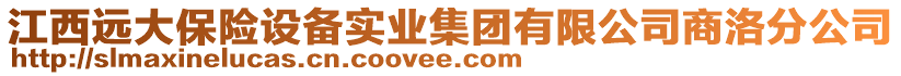 江西遠(yuǎn)大保險(xiǎn)設(shè)備實(shí)業(yè)集團(tuán)有限公司商洛分公司