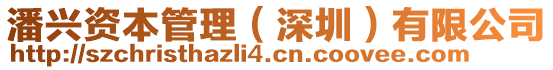 潘興資本管理(深圳)有限公司
