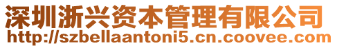 深圳浙興資本管理有限公司