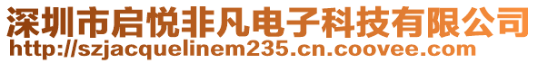 深圳市啟悅非凡電子科技有限公司