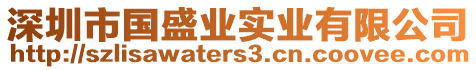 深圳市國盛業實業有限公司