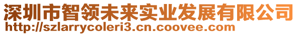 深圳市智領(lǐng)未來實(shí)業(yè)發(fā)展有限公司