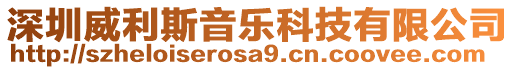 深圳威利斯音樂科技有限公司